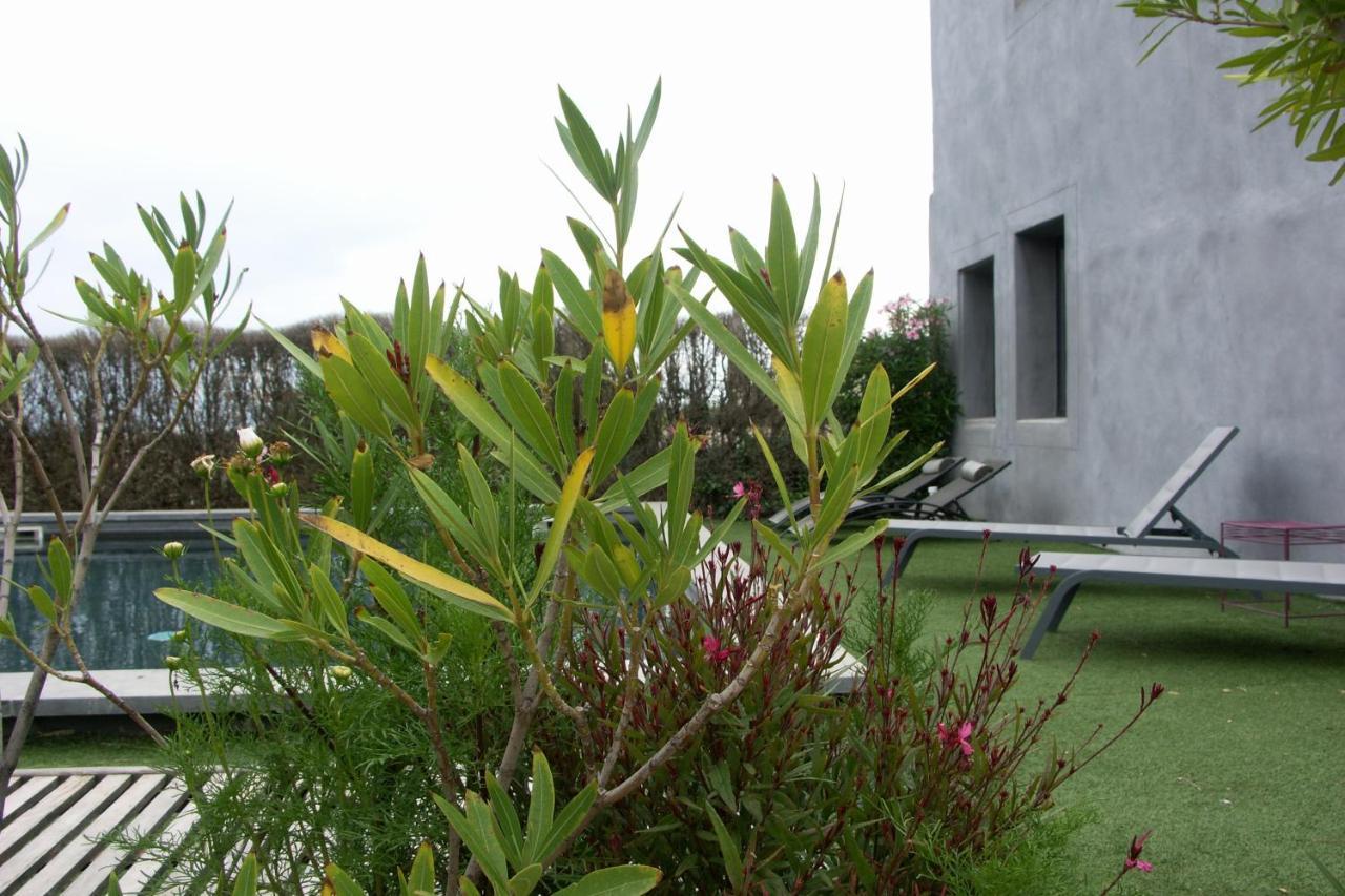Maison D'Hotes Cote Cour Rasteau Luaran gambar